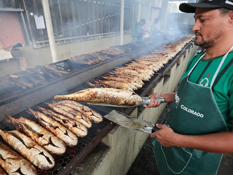 26.ª Festa da Tainha de Praia Grande/SP acontece até o dia 27 de julho