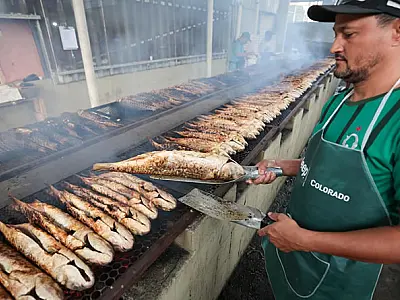 26.ª Festa da Tainha de Praia Grande/SP acontece até o dia 27 de julho