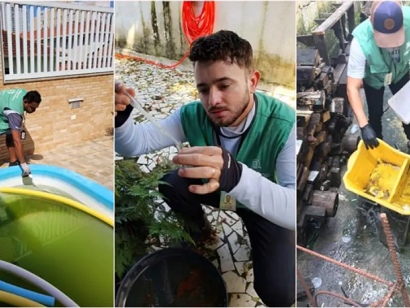 Mutirão contra o Aedes visita 2,3 mil imóveis e elimina 89 focos com larvas em Santos