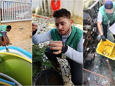 Mutirão contra o Aedes visita 2,3 mil imóveis e elimina 89 focos com larvas em Santos
