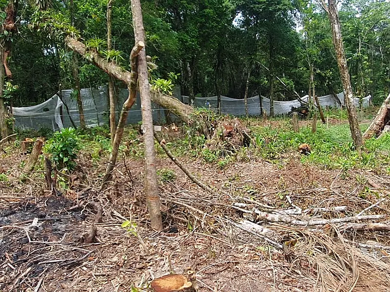 DOA remove cerca para coibir ocupação em de Área de Proteção Ambiental