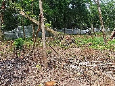DOA remove cerca para coibir ocupação em de Área de Proteção Ambiental
