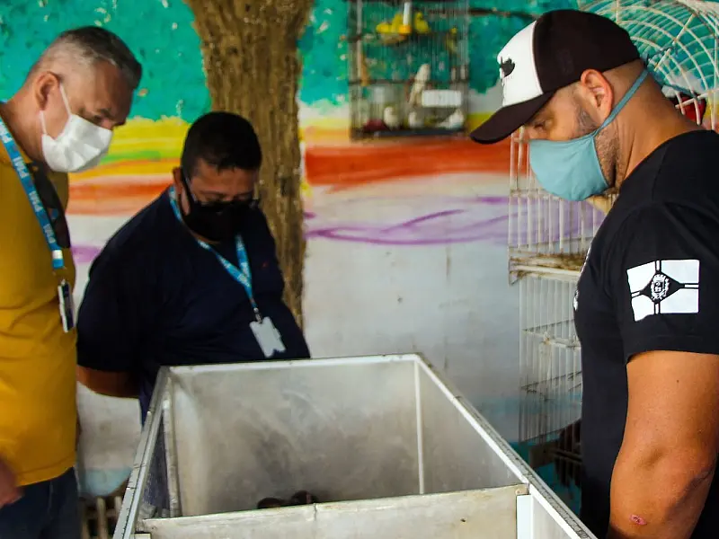 Estabelecimentos que atuam no comércio de animais recebem fiscalização