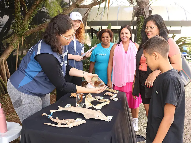 Aquário de Santos conscientiza sobre vida marinha em atividades da Semana do Meio Ambiente