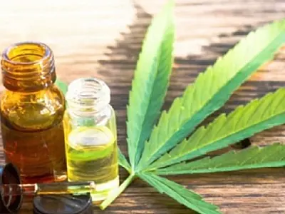 Saiba quais são as formas legais de acesso a Cannabis para uso medicinal no Brasil