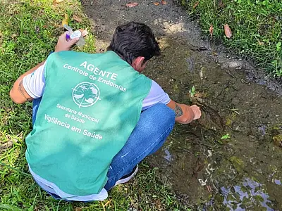 Agentes encontram mais de 200 focos com larvas de mosquito na Área Continental