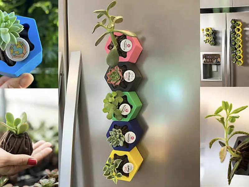 Empreendedora investe em produto inovador cheio de afeto para decorar e trazer alegria ao ambiente