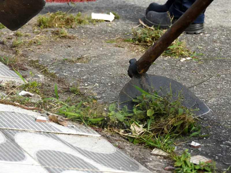 Bairro Real recebe Mutirão de Zeladoria