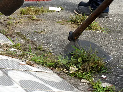 Bairro Real recebe Mutirão de Zeladoria