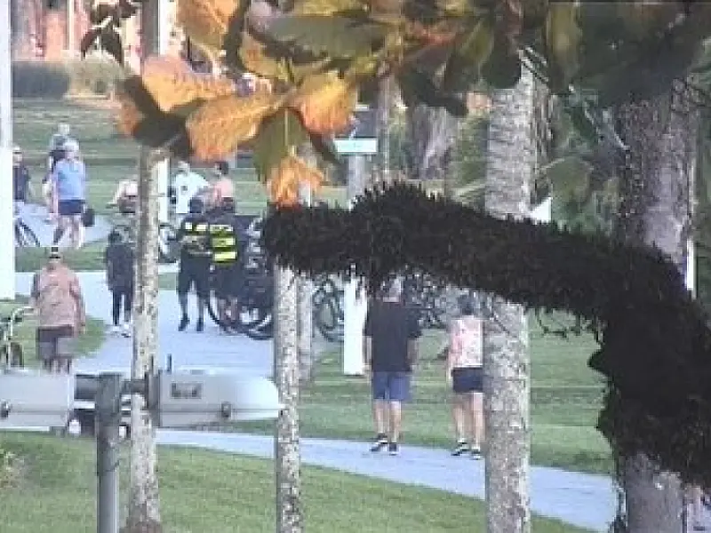Guardas Municipais prendem homem por porte de drogas na orla de Santos