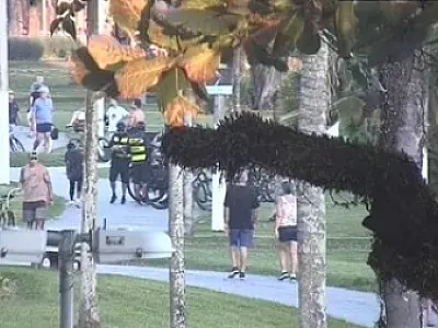 Guardas Municipais prendem homem por porte de drogas na orla de Santos