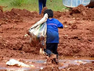 FAO: uma em cada 11 pessoas no mundo pode ter passado fome em 2023