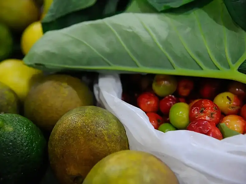 Registro de novos agrotóxicos segue em alta no Brasil, diz Mapa