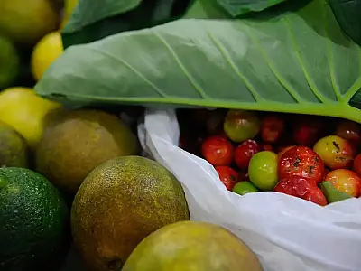Registro de novos agrotóxicos segue em alta no Brasil, diz Mapa