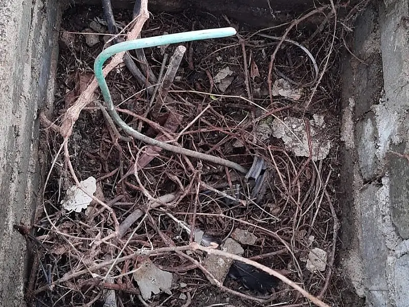 GCM detém dois indivíduos por furto de fios no Estádio Municipal