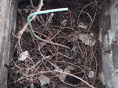 GCM detém dois indivíduos por furto de fios no Estádio Municipal