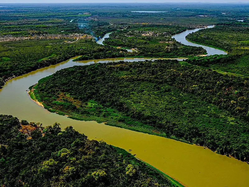 Projeto pretende ampliar proteção ao Pantanal