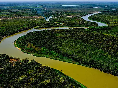 Projeto pretende ampliar proteção ao Pantanal