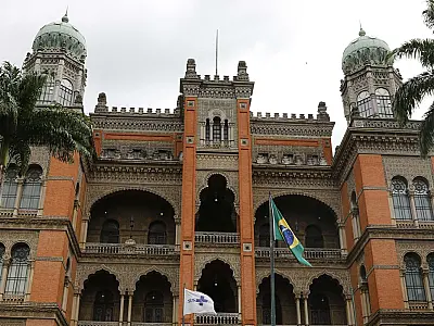 Fiocruz: InfoGripe apresenta queda lenta de SRAG em adultos