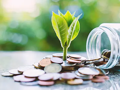 Governo quer padronizar regras para atividades econômicas sustentáveis