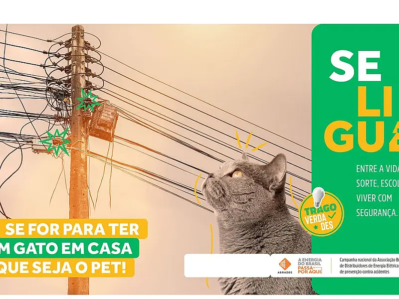 Agosto Vermelho busca conscientizar sobre acidentes com rede elétrica