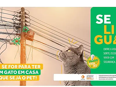 Agosto Vermelho busca conscientizar sobre acidentes com rede elétrica