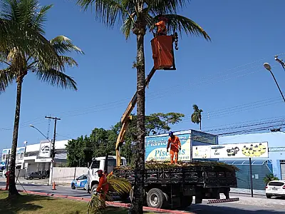 Confira a programação do Cata Poda desta semana em Bertioga