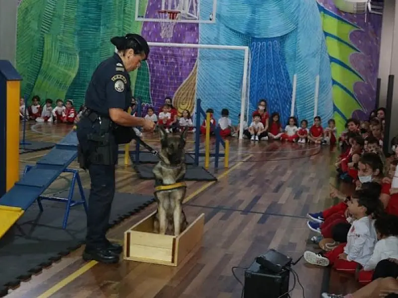 Apresentação de cão da Guarda Municipal em escola chama a atenção de crianças