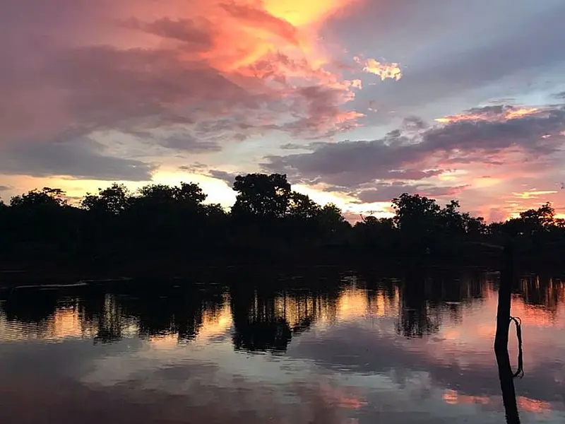 Dia Mundial da Água: Cerrado pode perder quase 34% da água até 2050