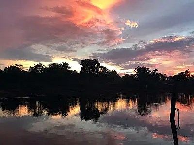 Dia Mundial da Água: Cerrado pode perder quase 34% da água até 2050