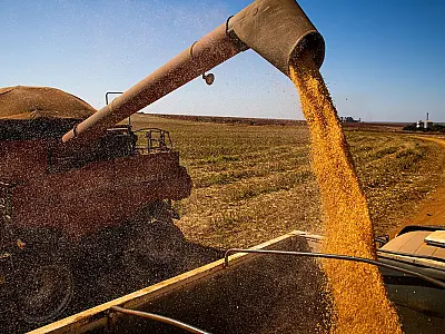 Mais 90 empresas são habilitadas para vender milho à China