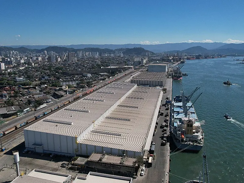 Porto de Santos registra escoamento de 5,5 milhões de toneladas de celulose em um ano