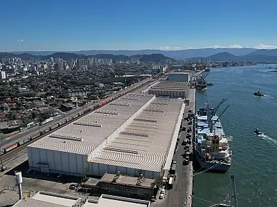 Porto de Santos registra escoamento de 5,5 milhões de toneladas de celulose em um ano