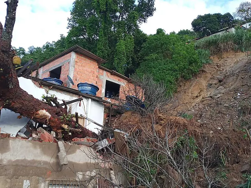 Casa em Guarujá é atingida por árvore durante chuva e famílias são abrigadas em escola