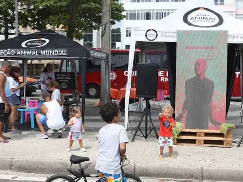 Proteção Animal Mundial leva Gira de Verão para a cidade de Santos