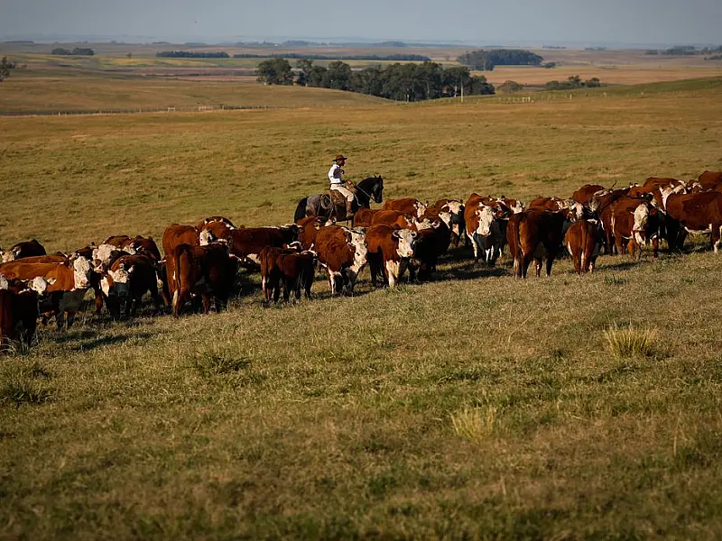 Produto Interno Bruto cresce 2,5% em fevereiro