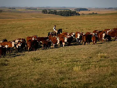 Produto Interno Bruto cresce 2,5% em fevereiro