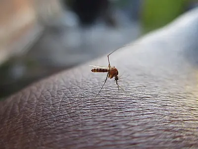 Hospitais privados registram alta de 80% nas internações por dengue