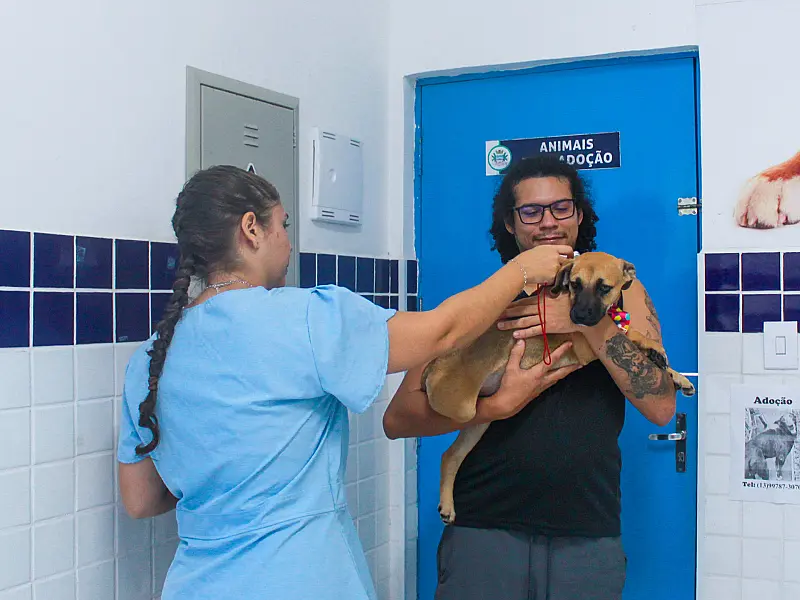 Dia dos Animais de Rua é marcado por adoções e lançamento do cadastro SinPatinhas em Mongaguá