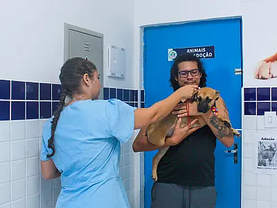 Dia dos Animais de Rua é marcado por adoções e lançamento do cadastro SinPatinhas em Mongaguá
