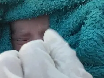 Bebê recém-nascida é encontrada dentro de bolsa térmica em Ilha Comprida ainda com cordão umbilical