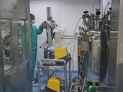 Vacina 100% brasileira está em fase final de desenvolvimento