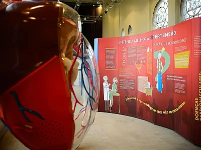 Sociedade de Cardiologia promove campanha no Dia Mundial do Coração