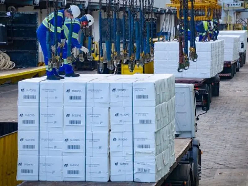 Celulose cresce 57% e puxa alta na movimentação do Porto de Santos no 1º quadrimestre