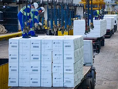 Celulose cresce 57% e puxa alta na movimentação do Porto de Santos no 1º quadrimestre