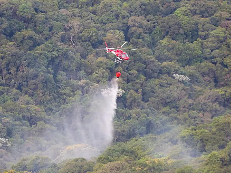Governo de SP amplia em 13,5 mil bombeiros o efetivo para combater os incêndios florestais