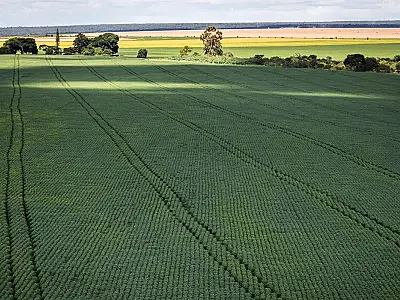 Agricultura vai querer voltar para mercado de carbono, diz Haddad