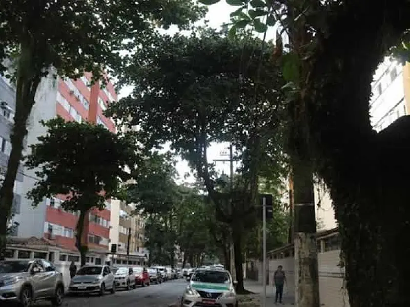 Força-tarefa realiza poda de árvores na Rua Guedes Coelho, em Santos, a partir do dia 22