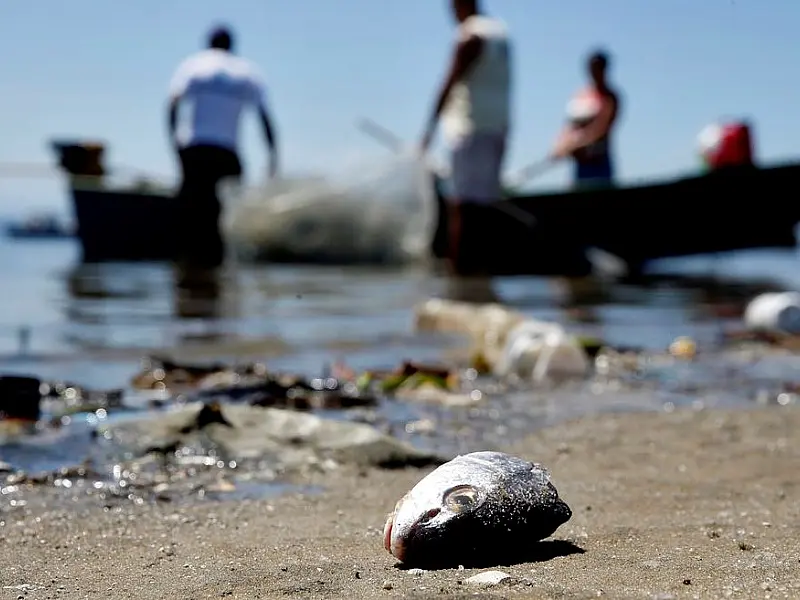 Projeto prevê pagamento a pescadores por coleta de lixo no mar