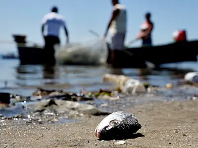 Projeto prevê pagamento a pescadores por coleta de lixo no mar